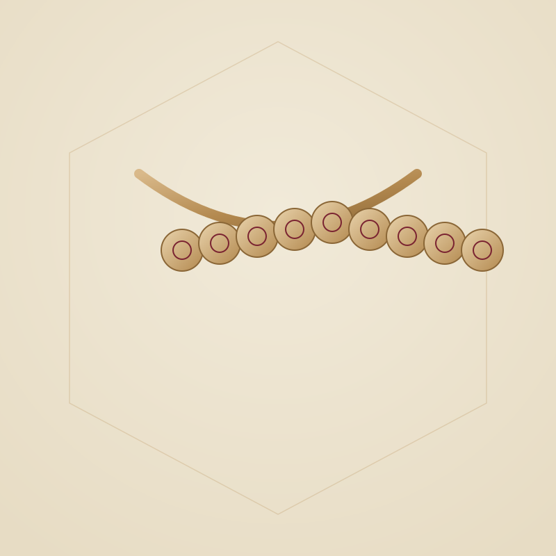 Temple Coin Necklace